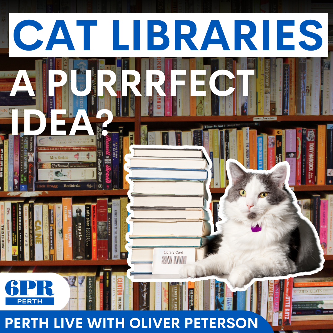 Cat Libraries: A purrrrfect idea?