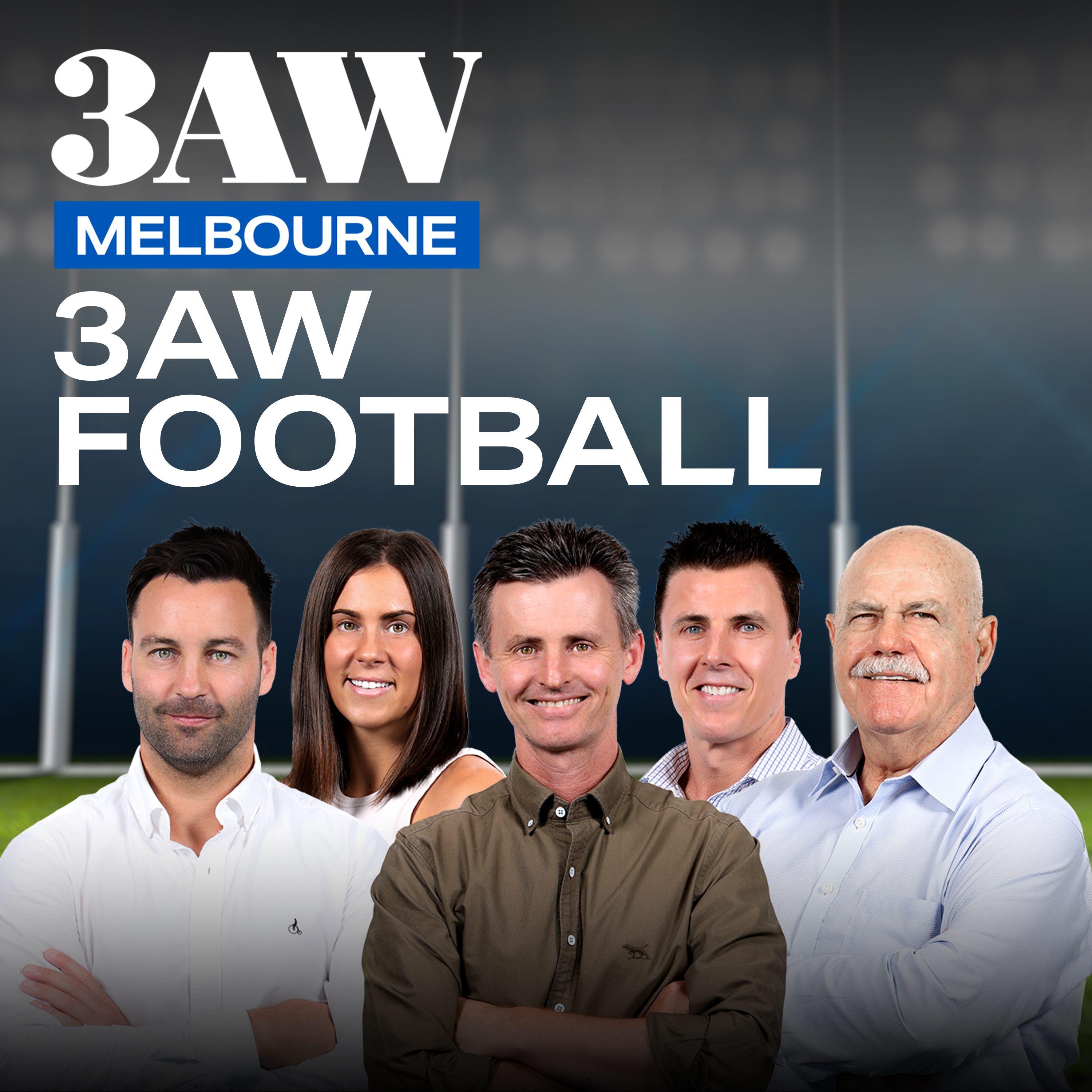 3AW's call of MASSIVE half time brawl in Melbourne v North Melbourne game