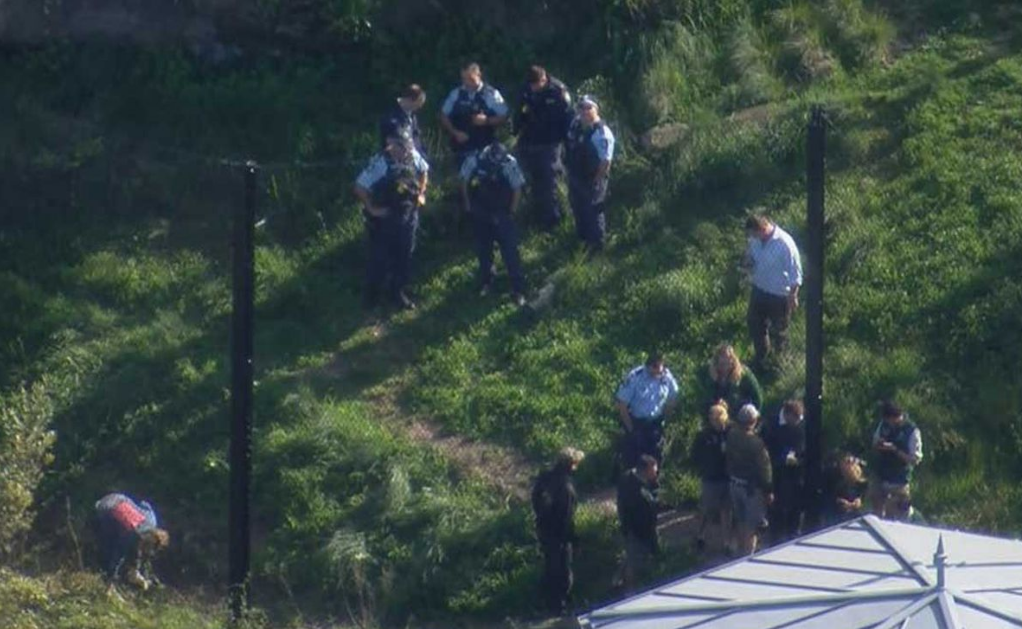 Taronga Zoo placed into temporary lockdown after lions escape enclosure