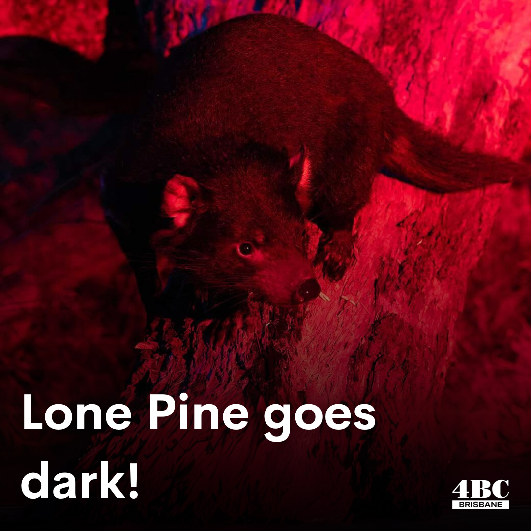 Lone Pine goes dark!