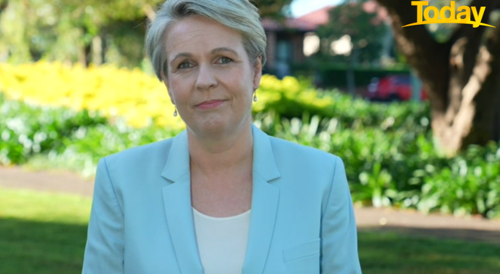 Tanya Plibersek under fire over 'poor' Voldemort quip