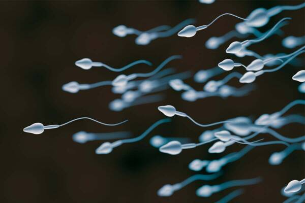 World-first super sperm syringe offers new IVF hope