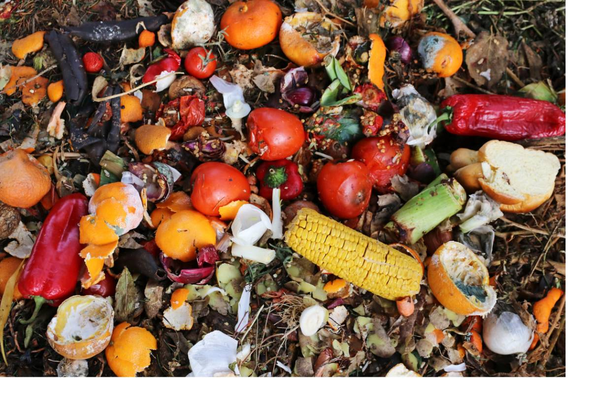 The ways Australia can reduce the ever-growing food waste problem