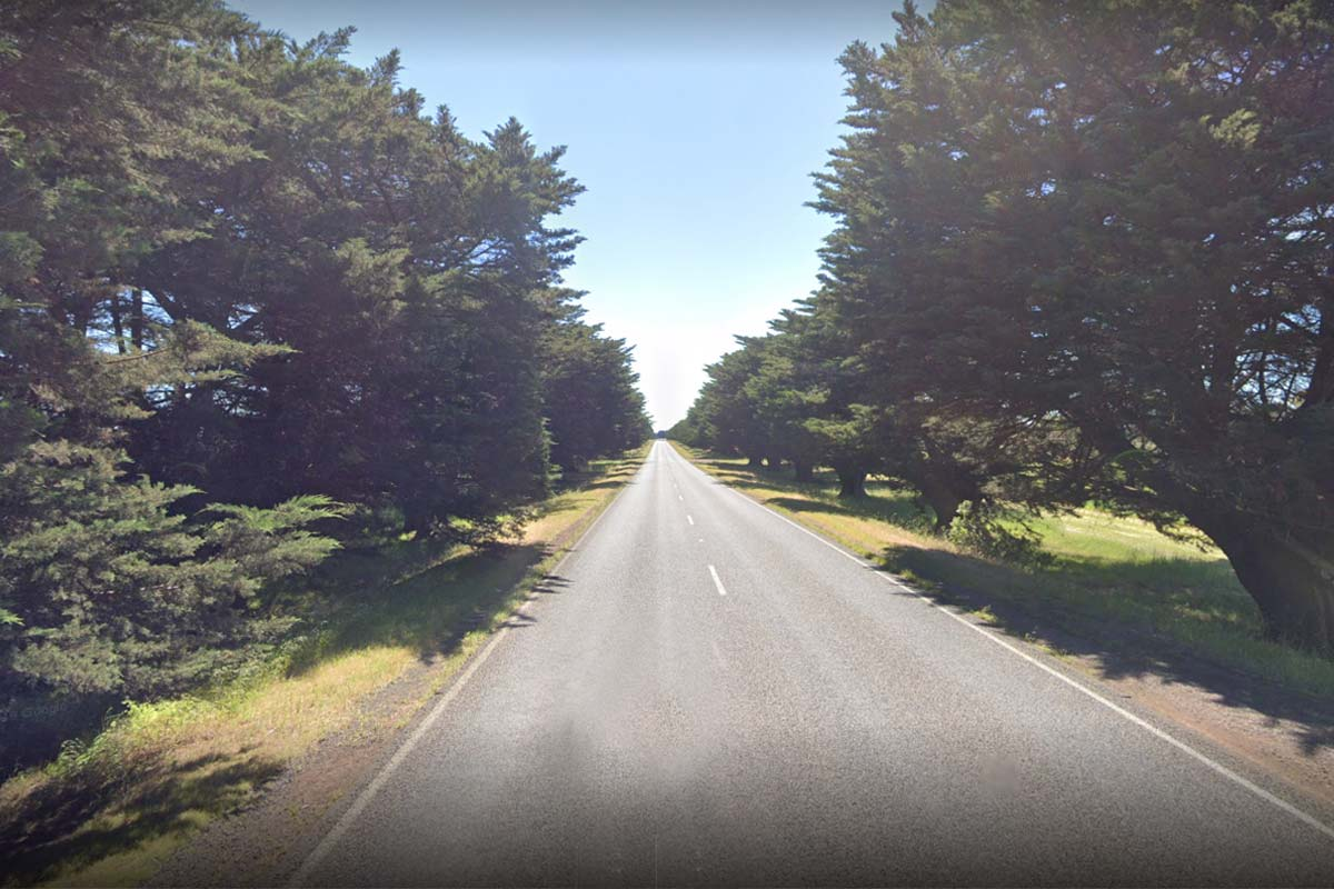 War memorial trees in regional Victorian town felled