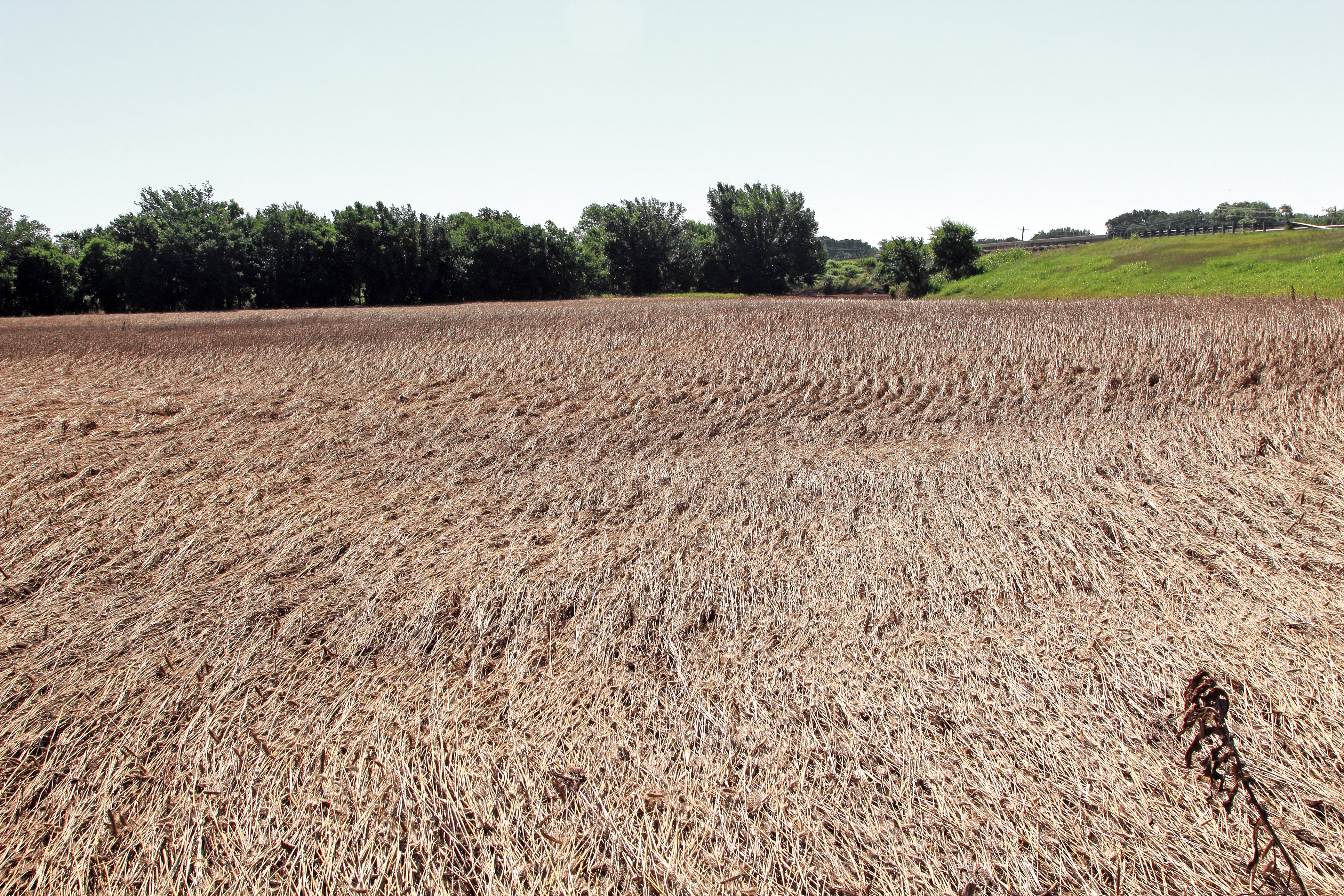 The 'biggest challenge' facing Victorian grain farmers right now