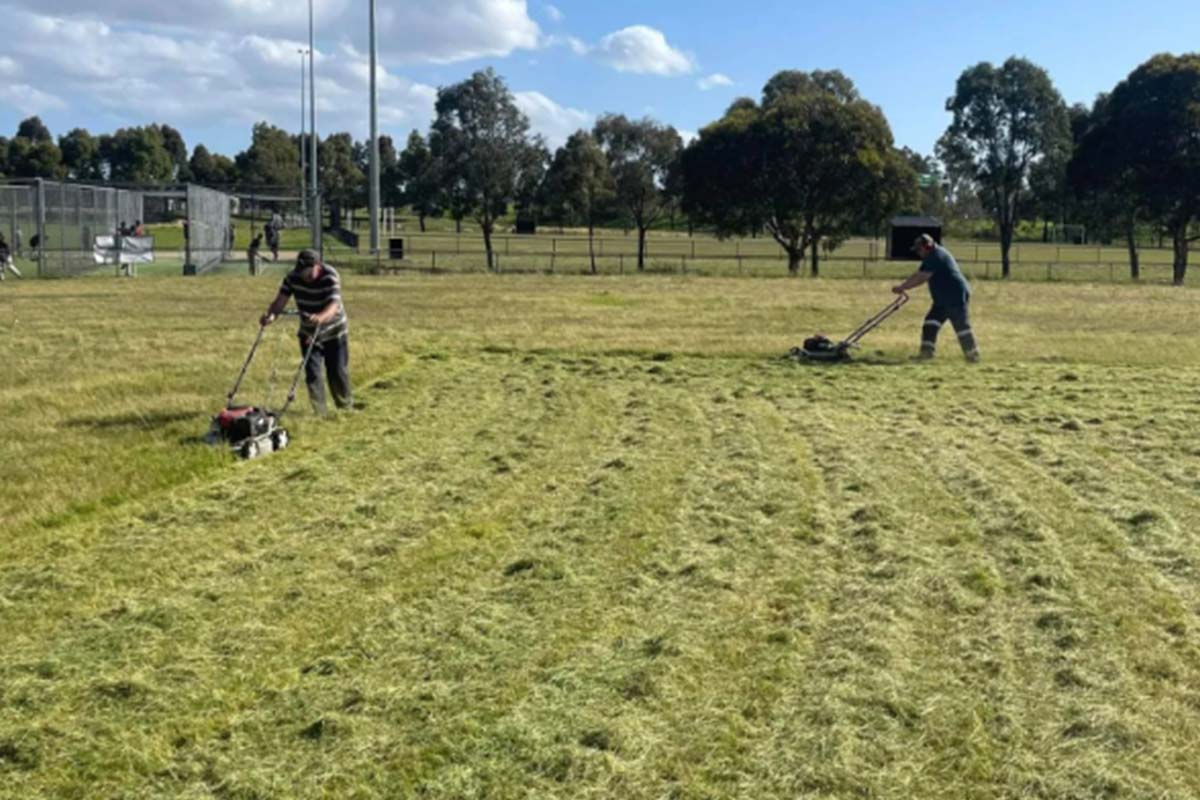 Cricket club mows oval in Melbourne's south-east