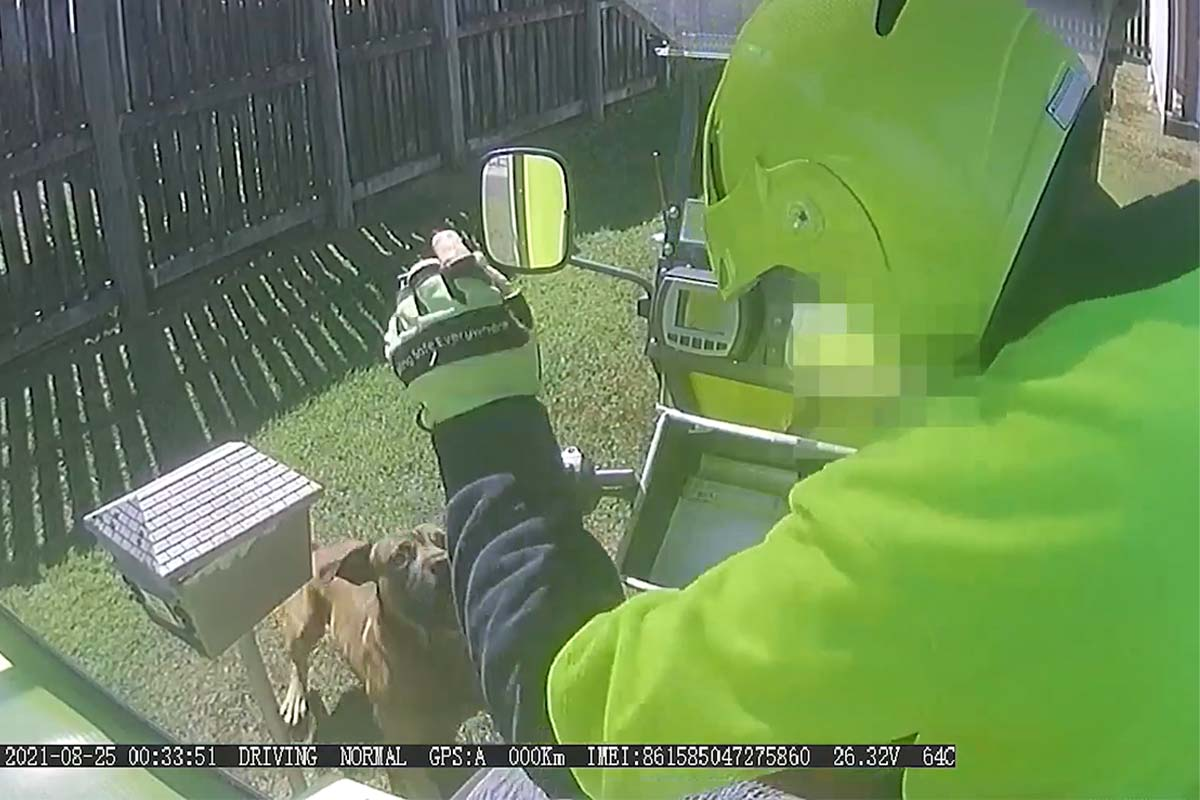 Why dog attacks on posties are rising