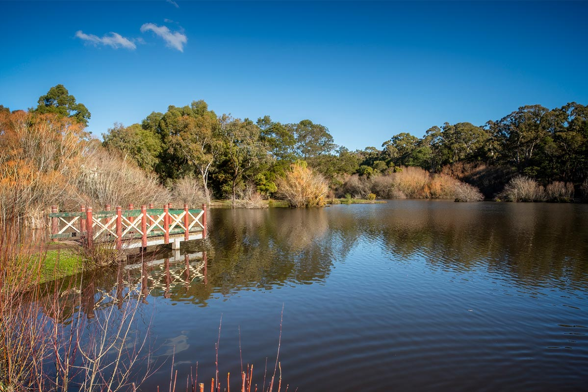 The northern lights are coming to Daylesford this winter