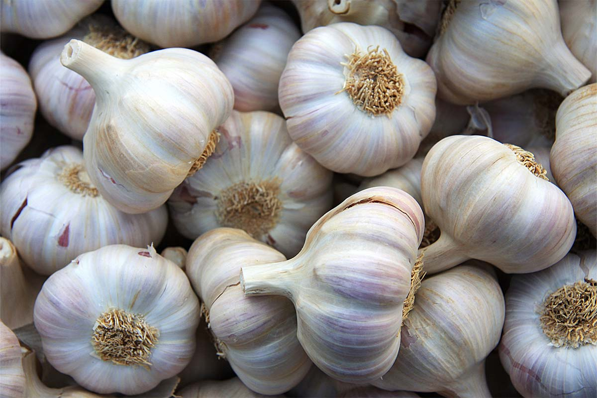 Why some top chefs are ditching garlic