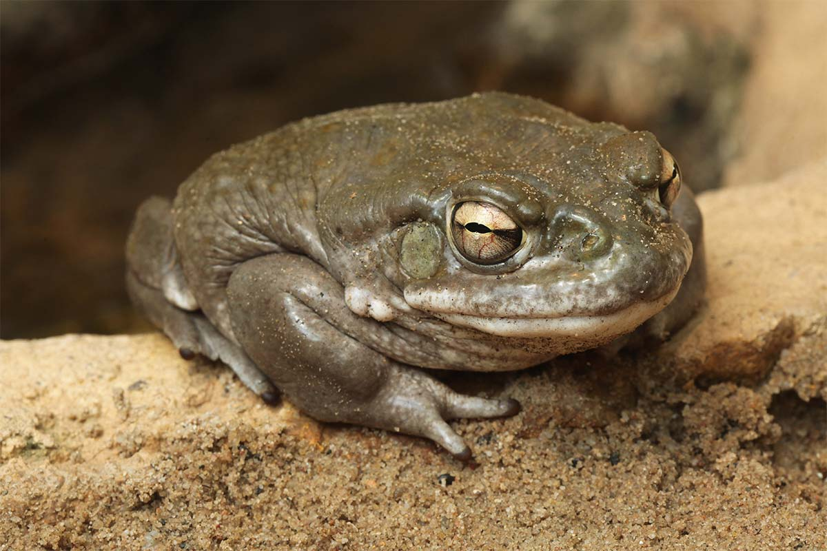 US National Park Service issues bizarre wildlife warning