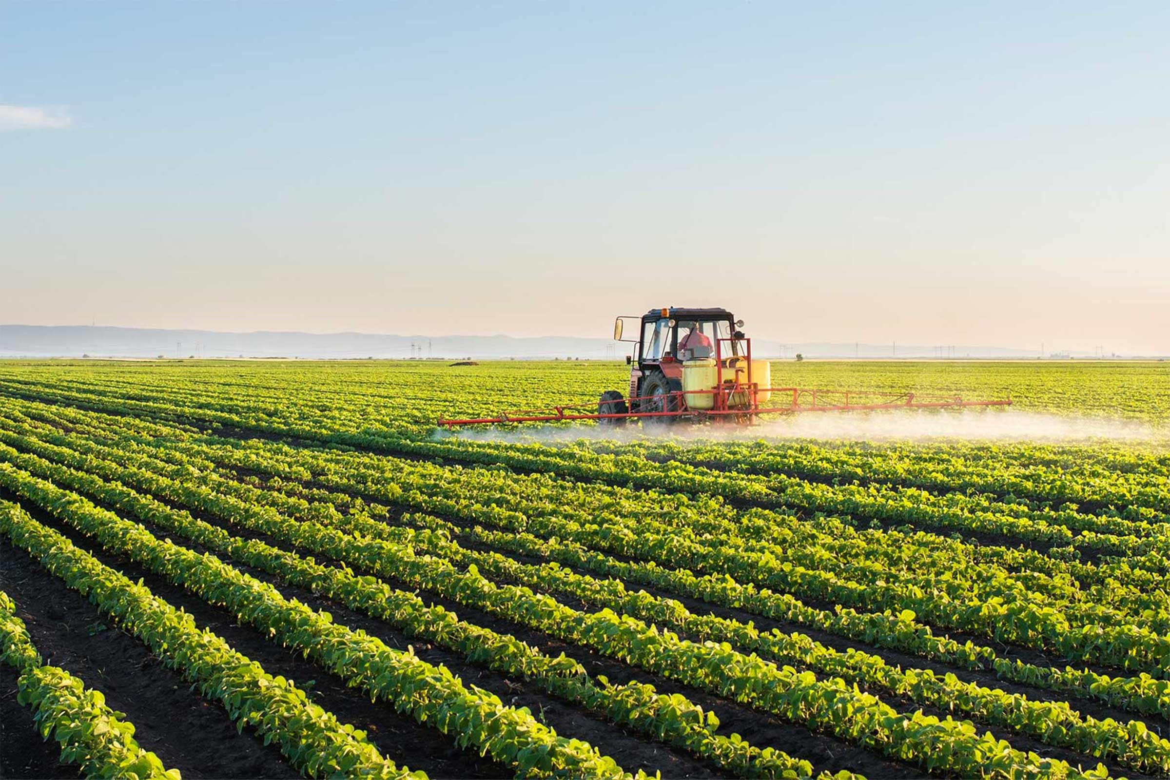 Australian Agriculture Outlook