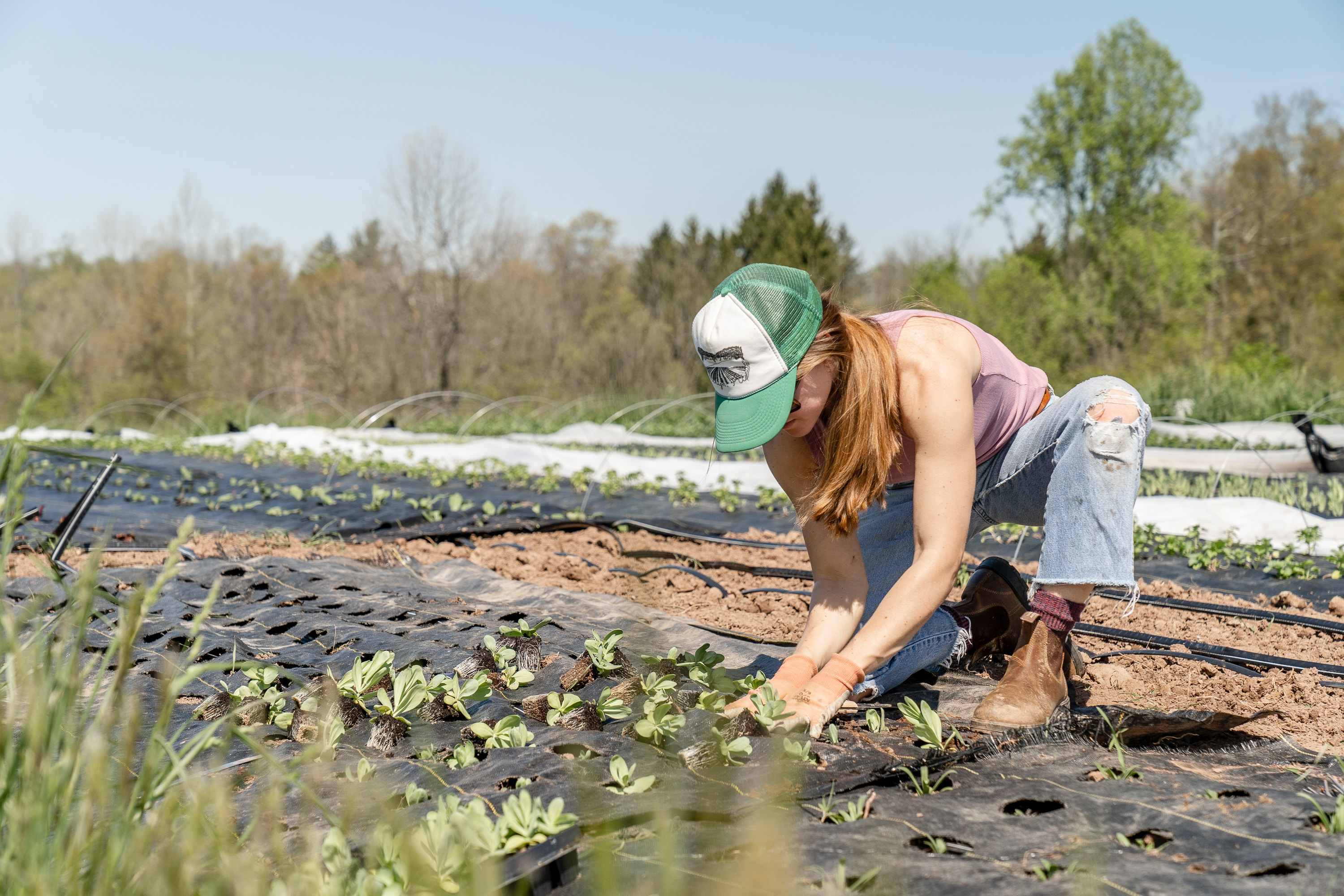 Report reveals issues within agriculture industry