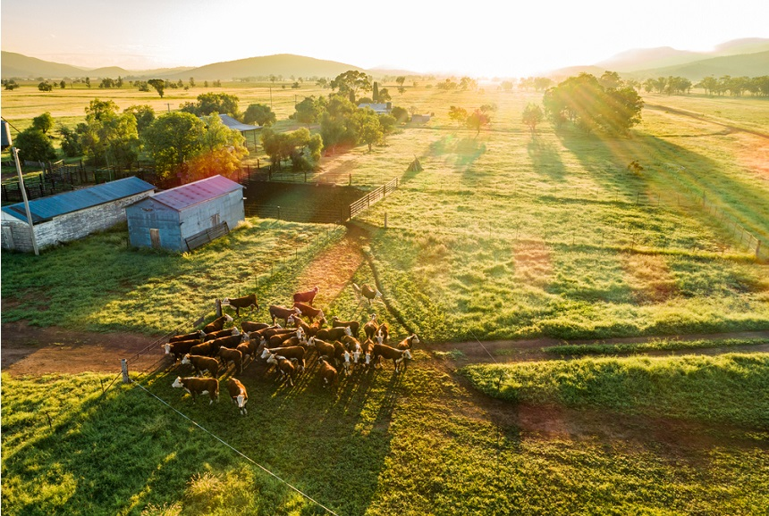 A Win for Farmers in Supermarket fight