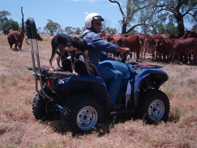 Farm Safety Week kicks off