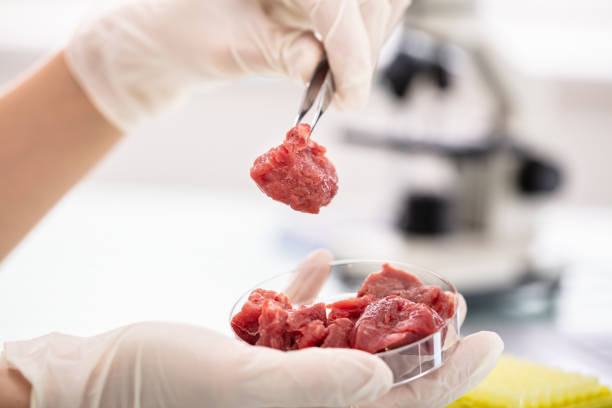 The pros and cons of lab-based meat