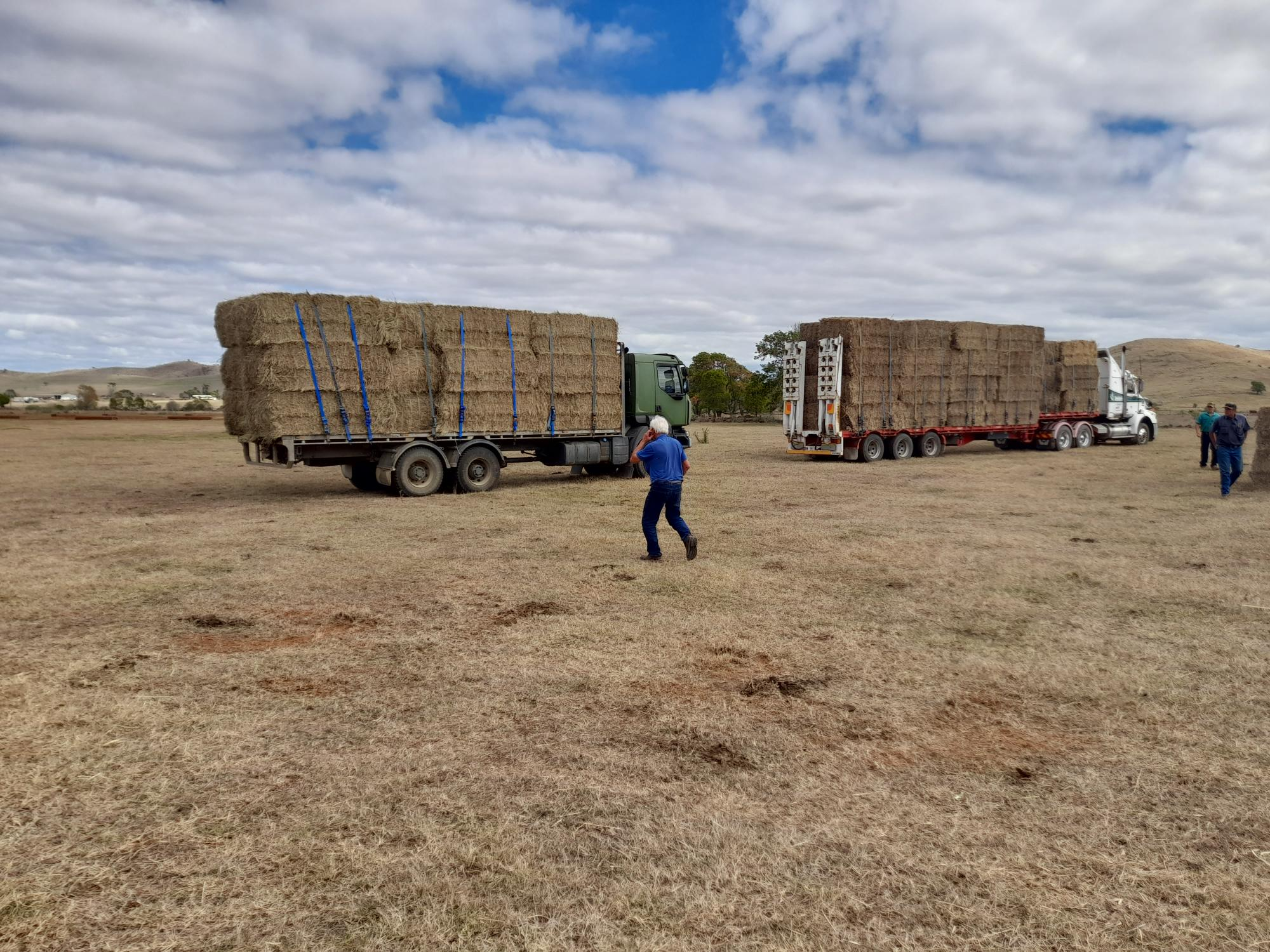 Hay requests rise as Farmers face Dry Summer