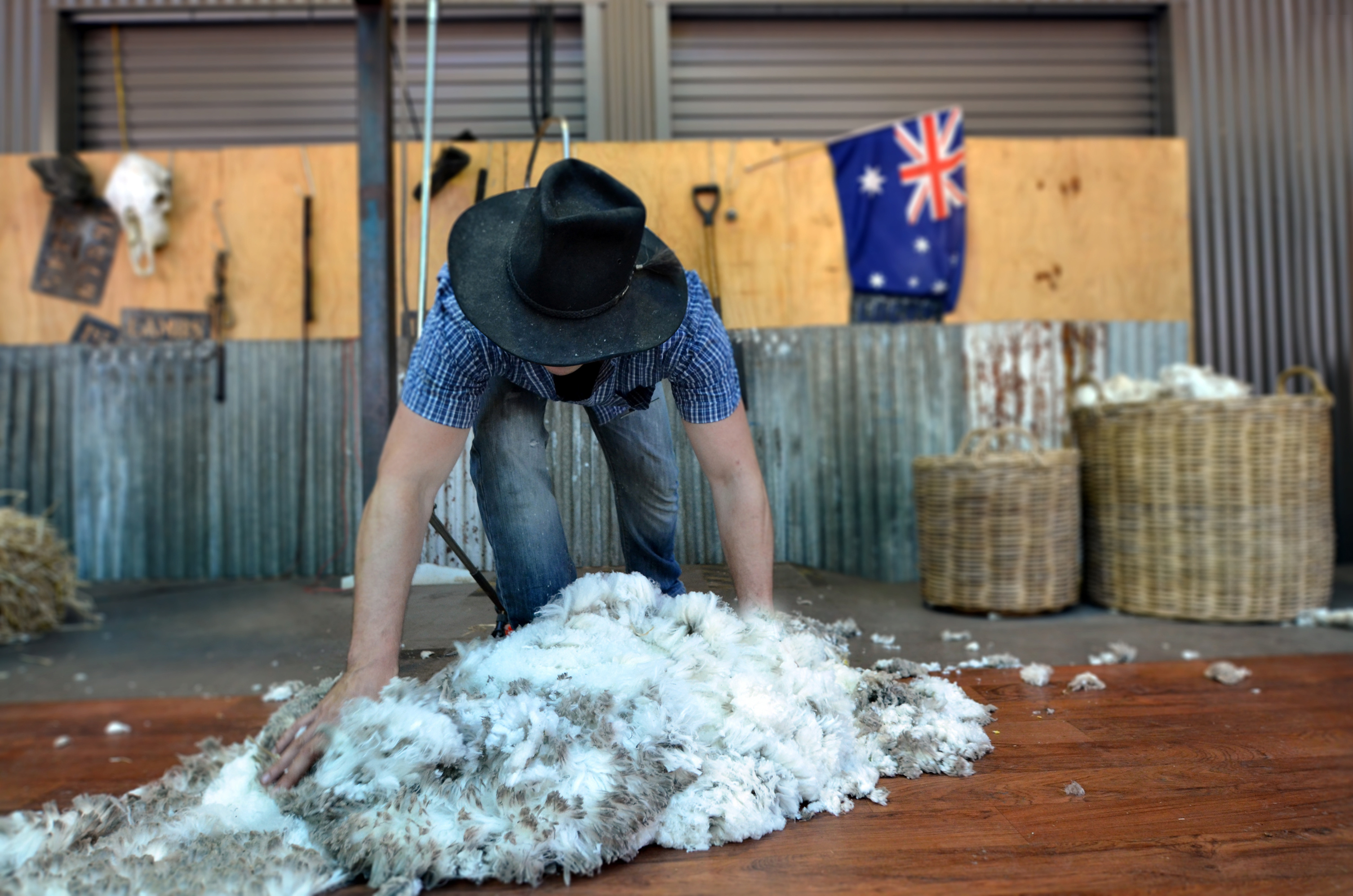 Cutting edge lice treatment for sheep