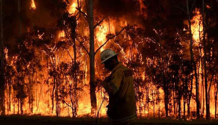 A-I Systems to help Prevent Bushfires