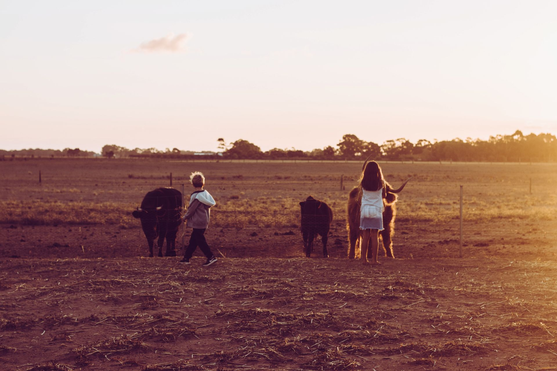 Safety courses proposed for farm kids