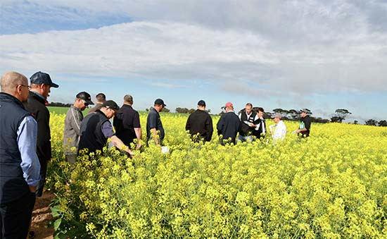 Farmers and Growers Information event