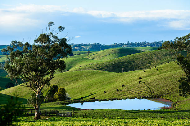 Water security in question ahead of a dry summer