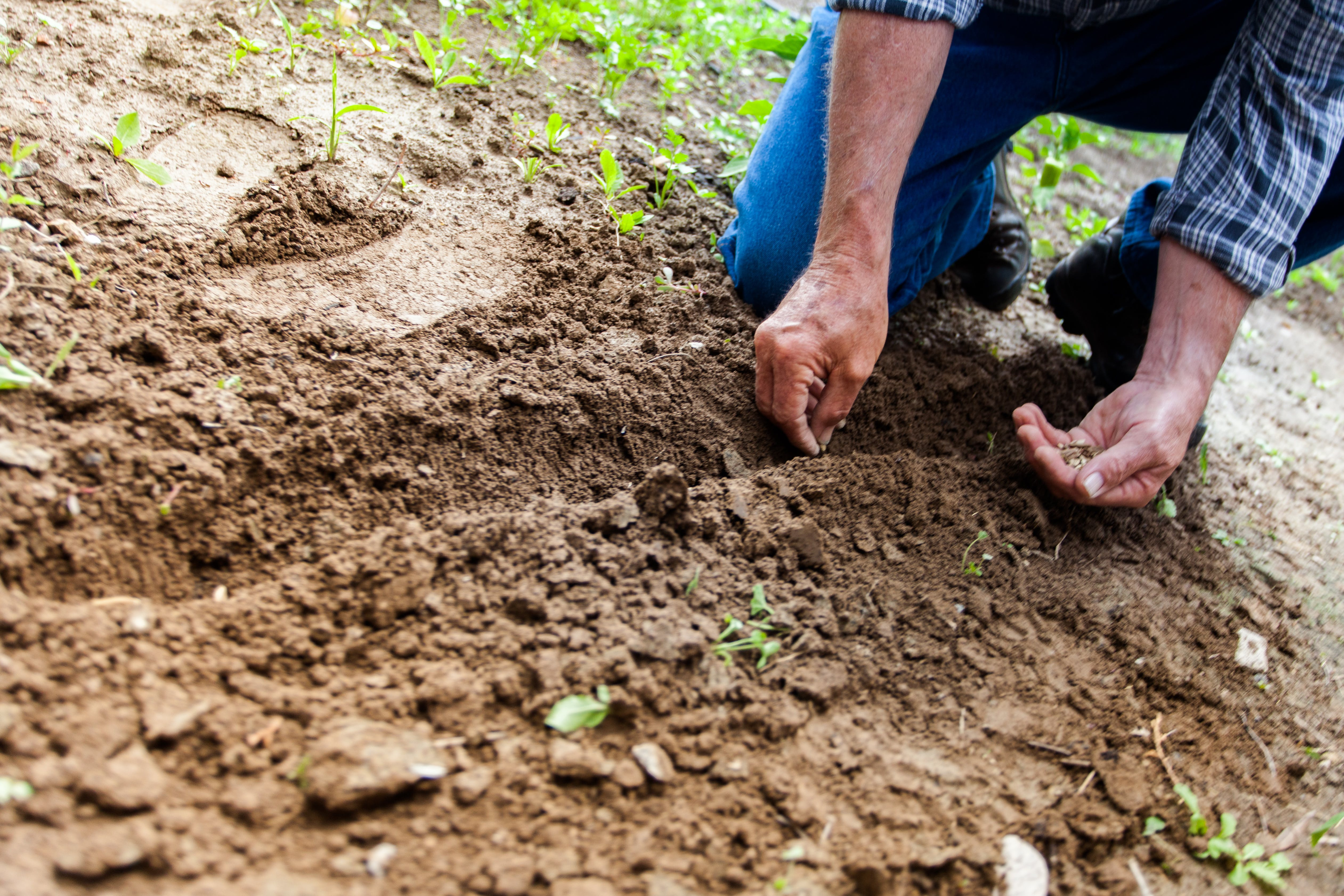 Financial help for farmers