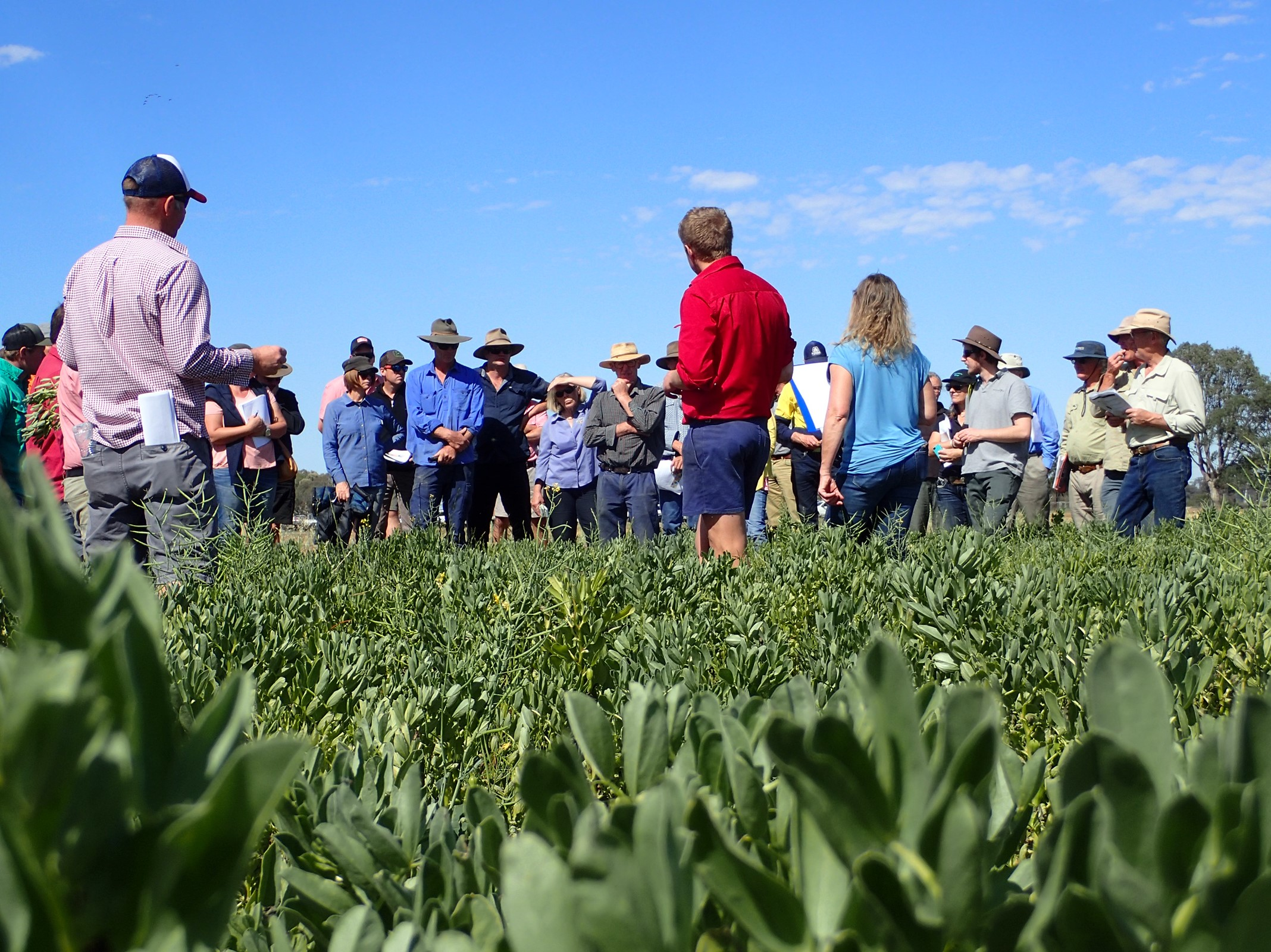 Farmers told to Slash Prices