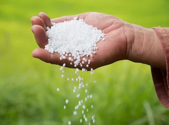 Domestic production; the key to bolstering fertiliser stocks