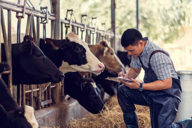 Record profits for Victorian dairy farmers