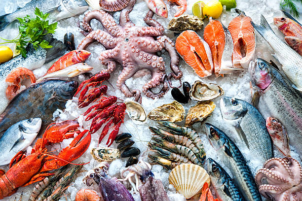 Seafood industry bounces back