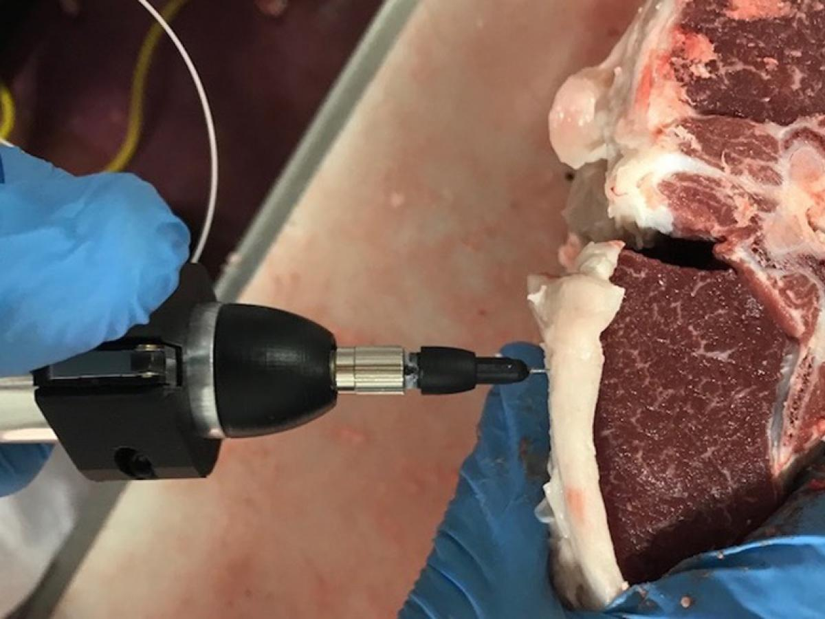 Cancer identifying technology to measure meat quality