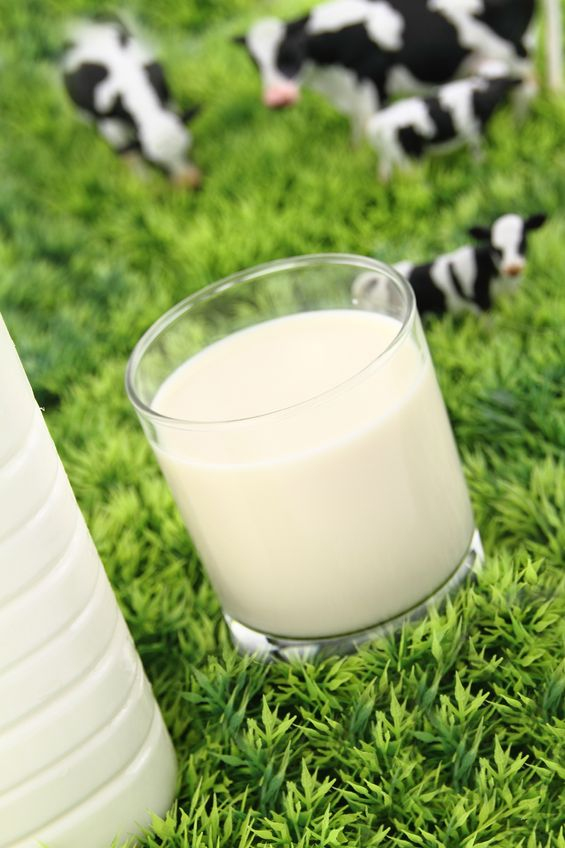 New training program for dairy exporters