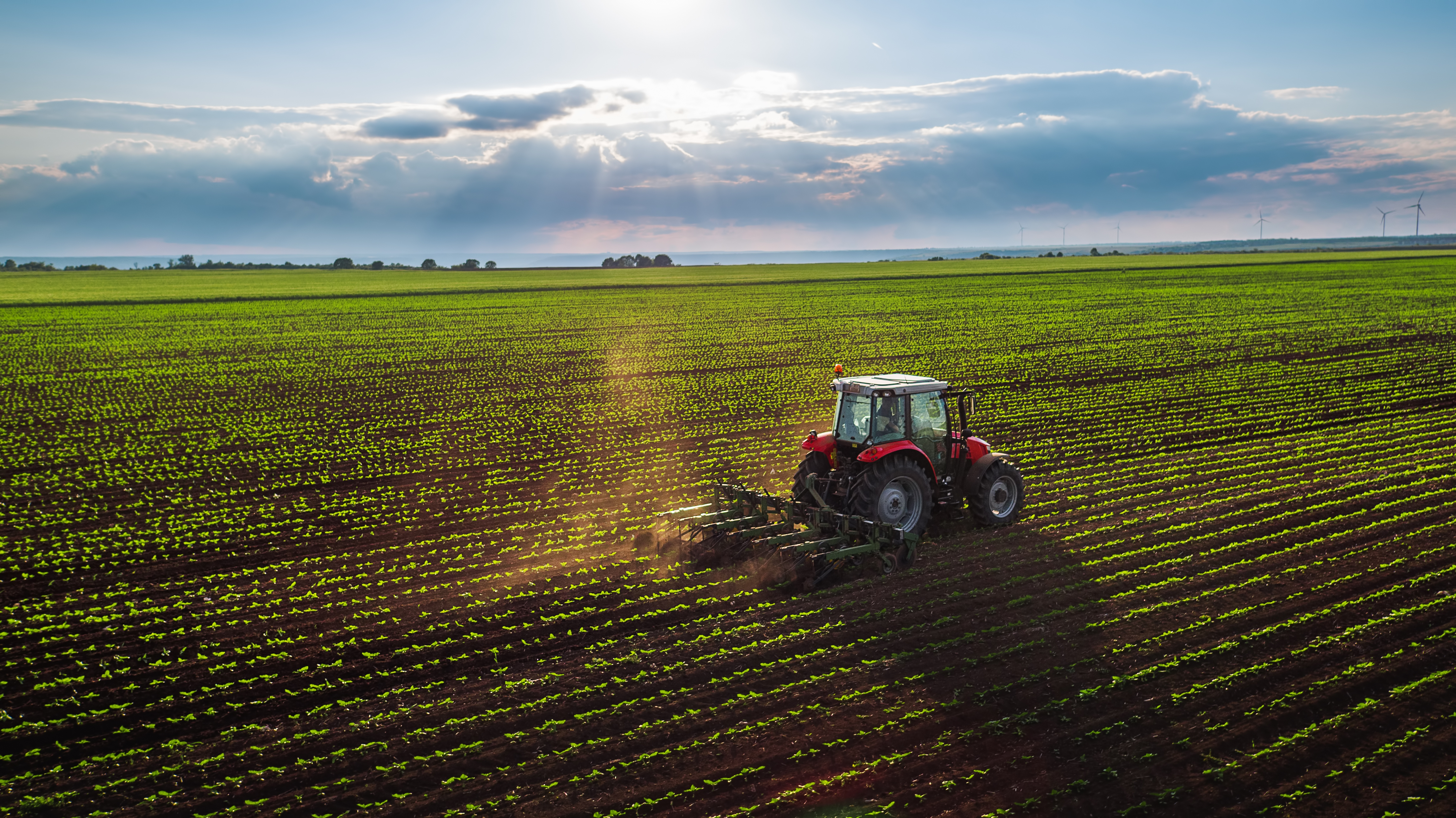 Empowering Women in Farming