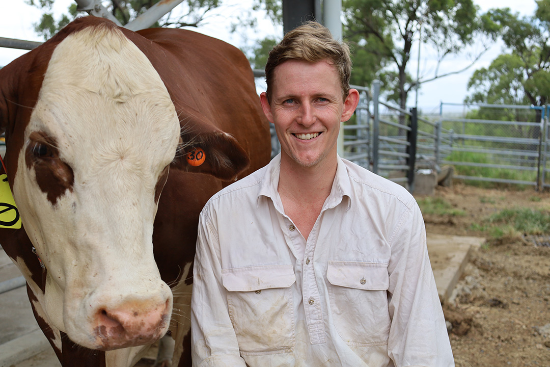 Satellite data used to predict and detect calving