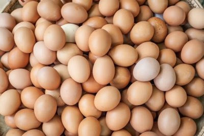 How Aussies are embracing Eggs