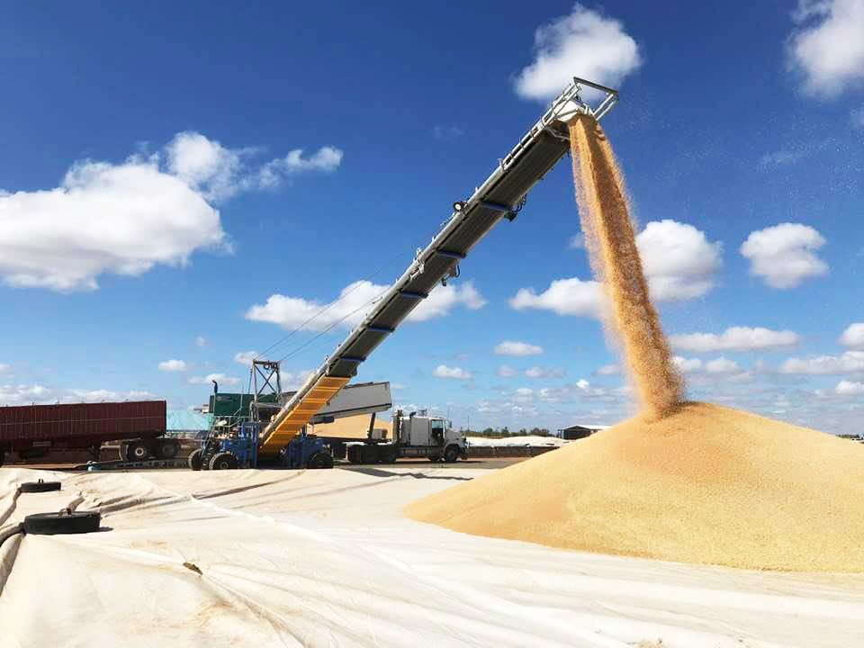 Airline workers to replace backpackers during grain harvest