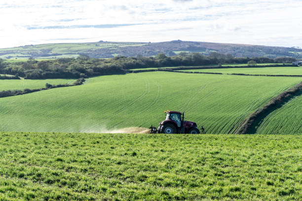 Fertiliser prices start to fall.