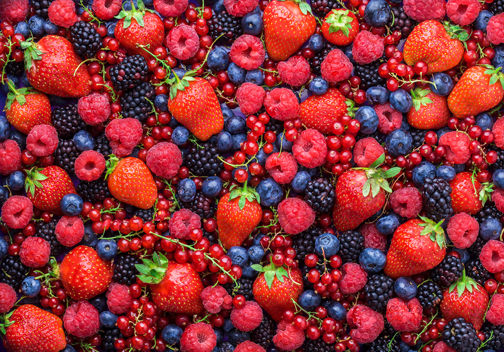 Berries in the Basket