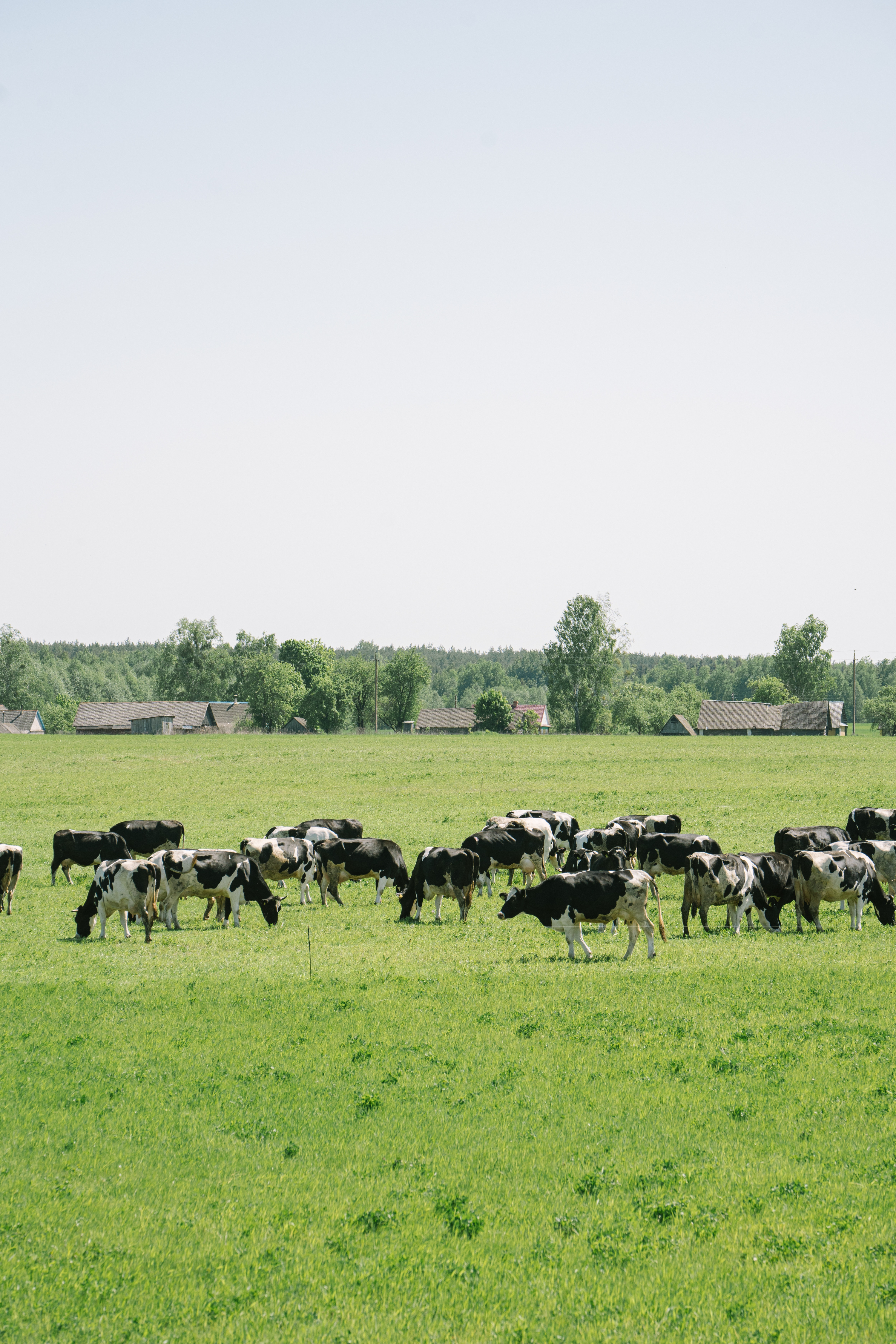 Workshops to help red meat industry to carbon neutral