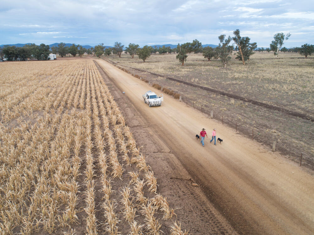 Drought Loan Webinar