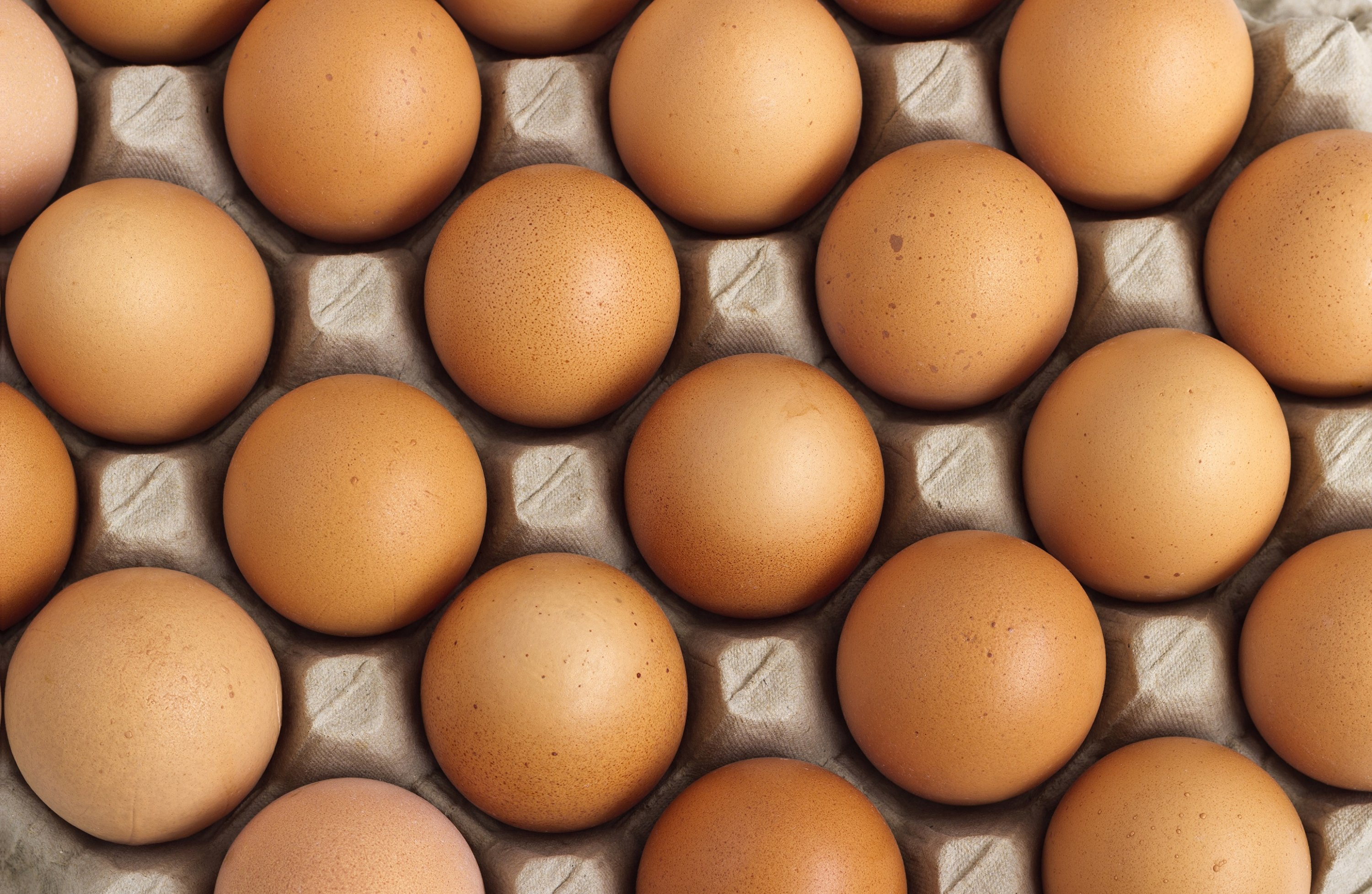 Why we should eat more eggs in the lead up to winter