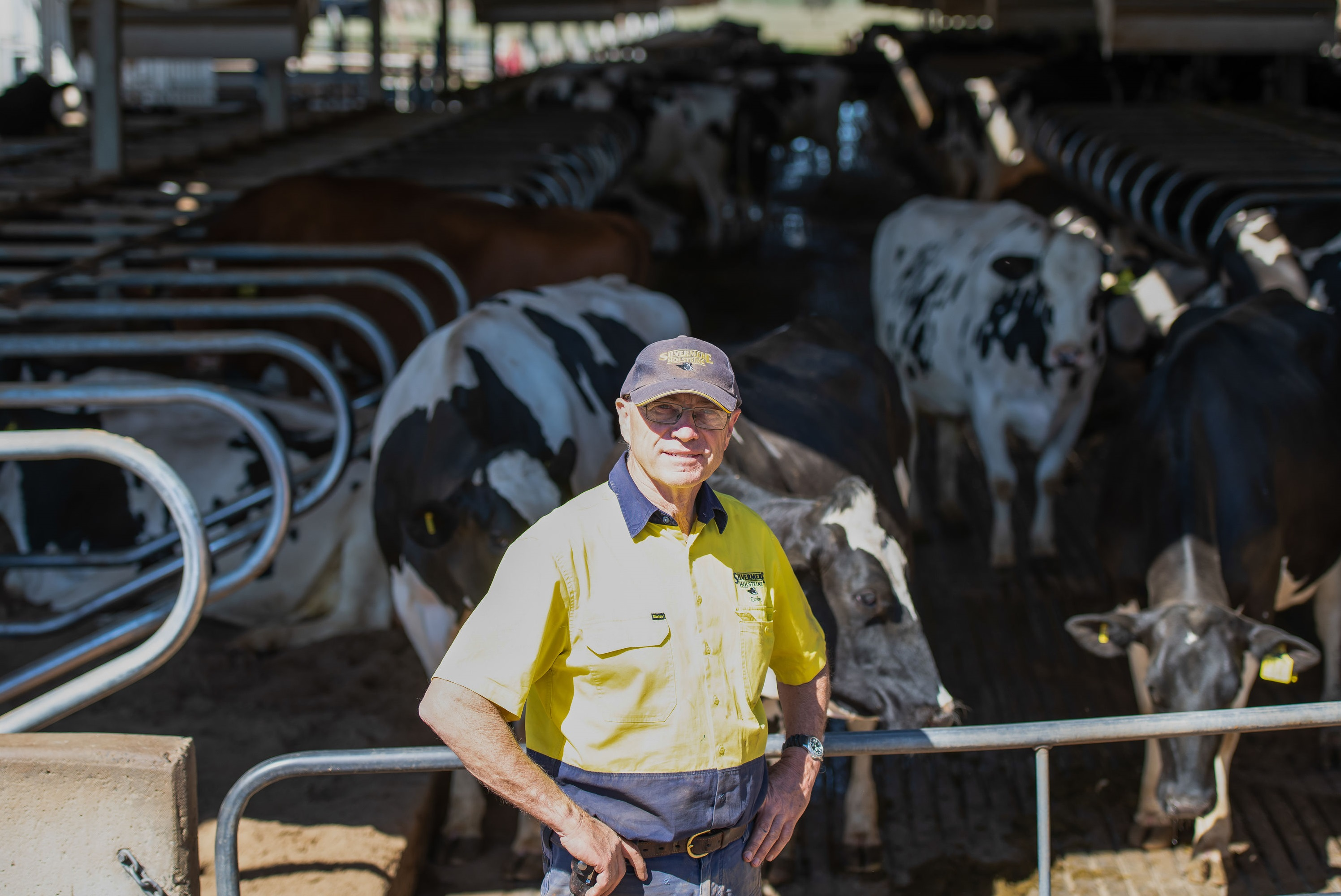 Woolies drought package call leaves fairy farmers hanging