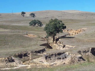 Soil Erosion on Victorian farms