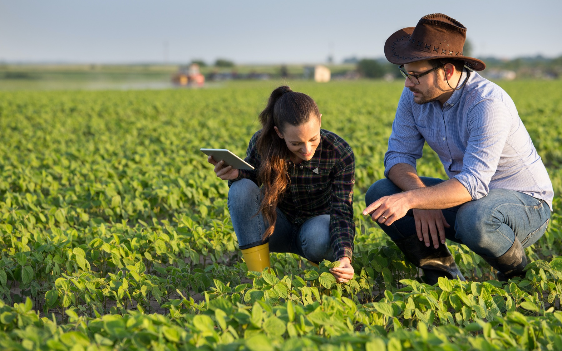 The release of a new Australian-Grown Horticulture Framework