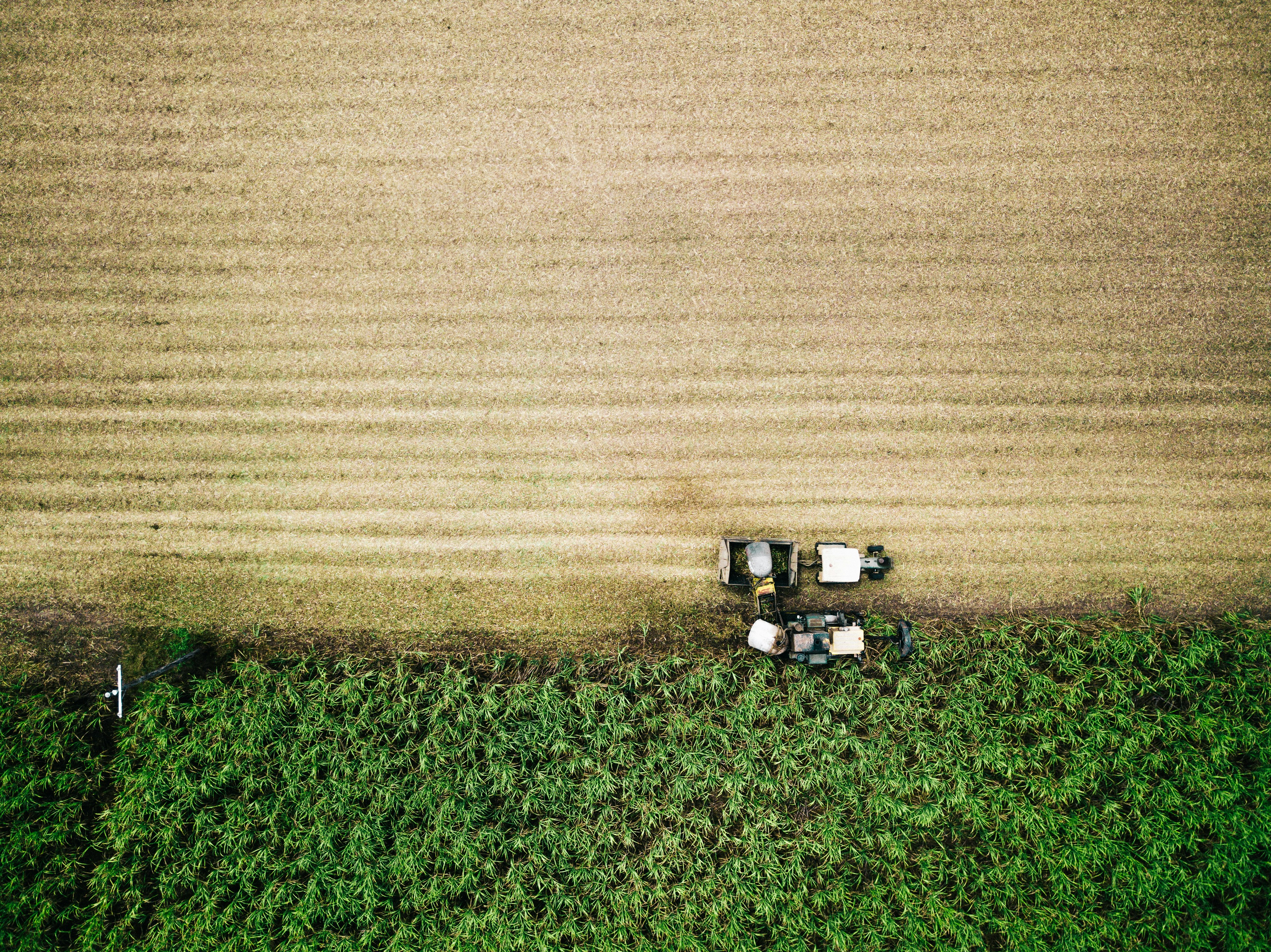 Future Proofing Farming Systems