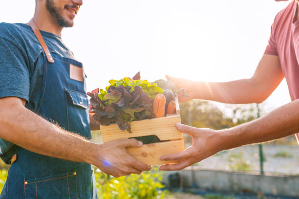 Farmers await findings of ACCC supermarket probe