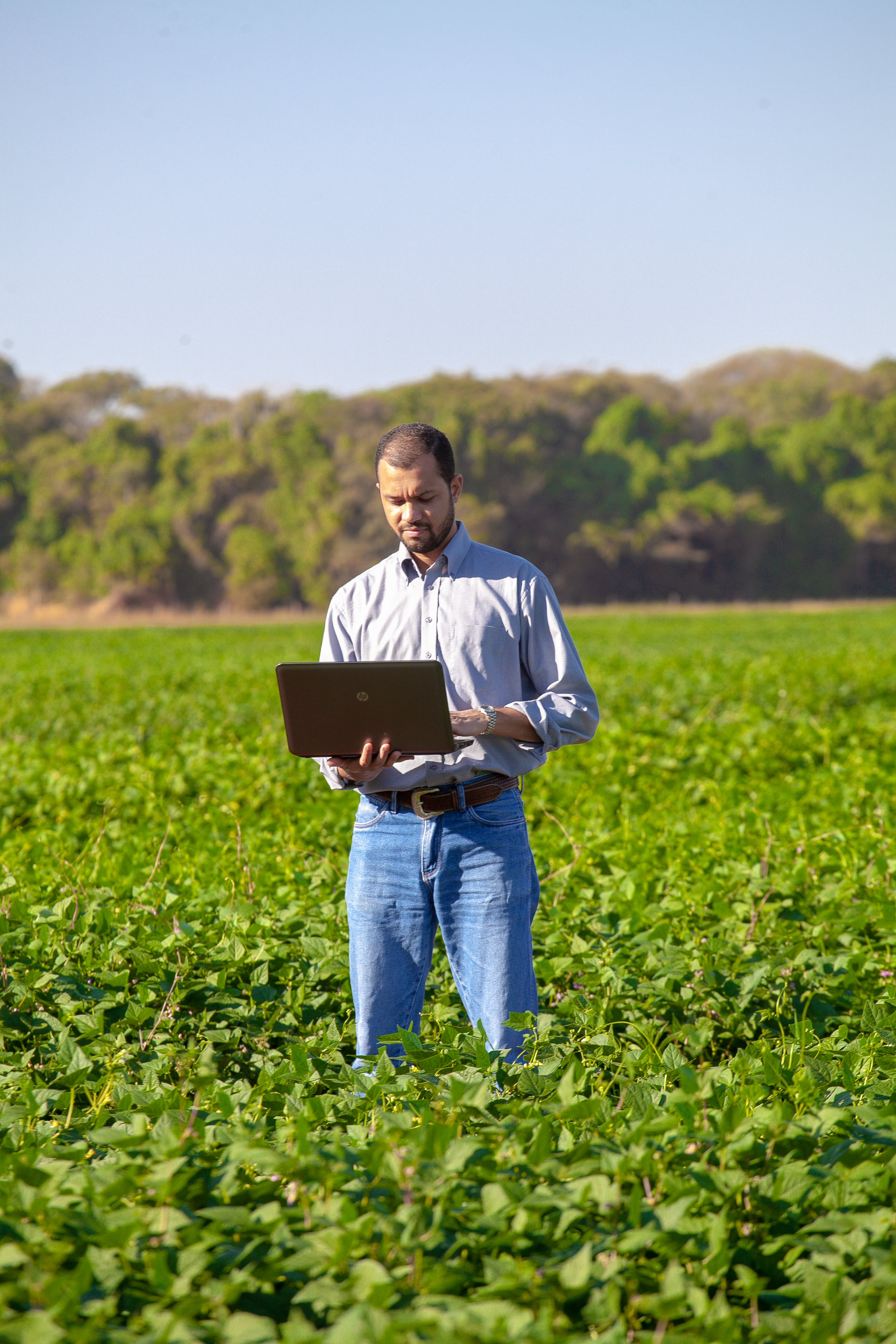 Digital support for farmers