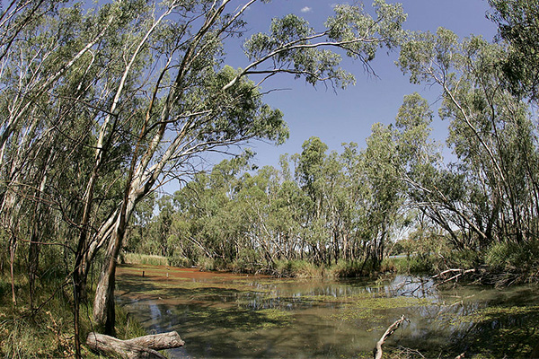 Basin communities plea for changes to water buybacks