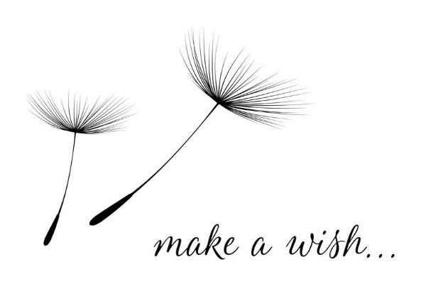 What a Wish.... would it be yours?