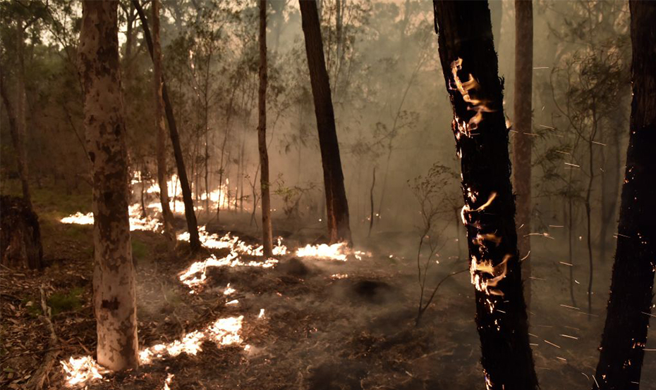 'We're stepping in': Scott Morrison calls in the army to aid bushfire crisis